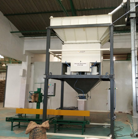 Auto Bagging Machine with Auto Stiching Machine